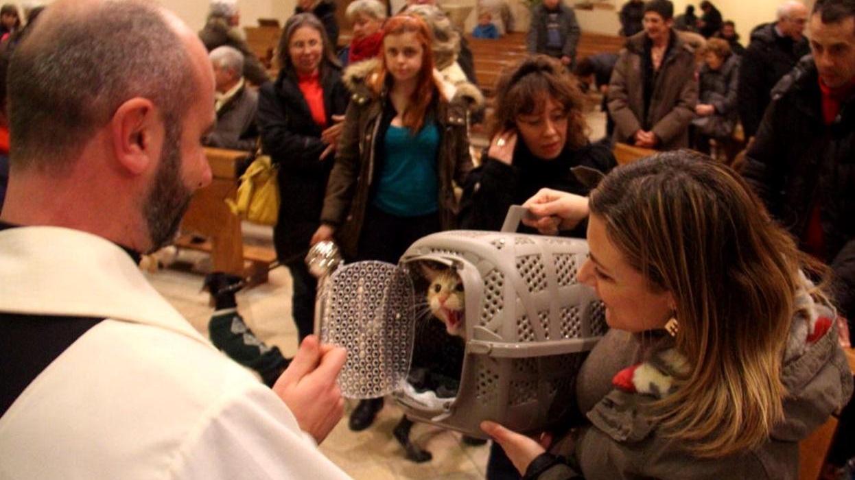 Il parroco di Santa Lucia, don Piotr Kownacki, benedice un gatto durante la liturgia in chiesa nel giorno di sant'Antonio, patrono degli animali (Marzi Pentafoto)