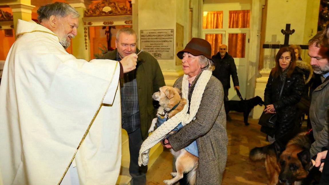 S. Antonio: fiera e benedizione degli animali
