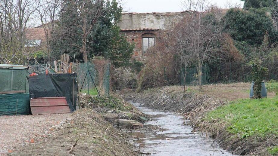 Eliminati decine di orti realizzati dentro il Gorone