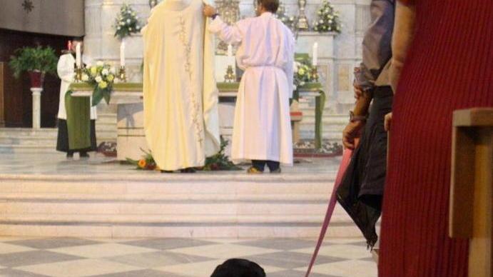 Fauglia ospita la benedizione degli animali