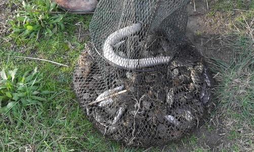 Reti da pesca abusive sequestrate in Valle 