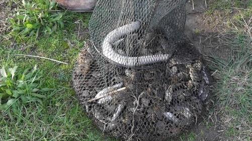 Reti da pesca abusive sequestrate in Valle