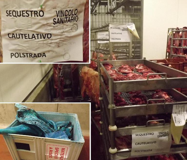 Maxi-confisca di animali maltrattati 
