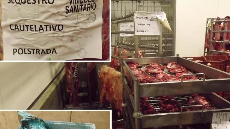 Maxi-confisca di animali maltrattati