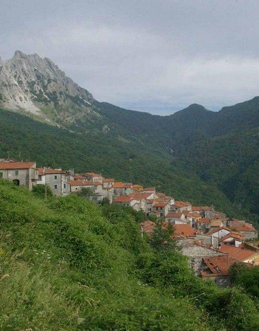 La tegola dell’Imu sui terreni agricoli fa scappare le aziende 