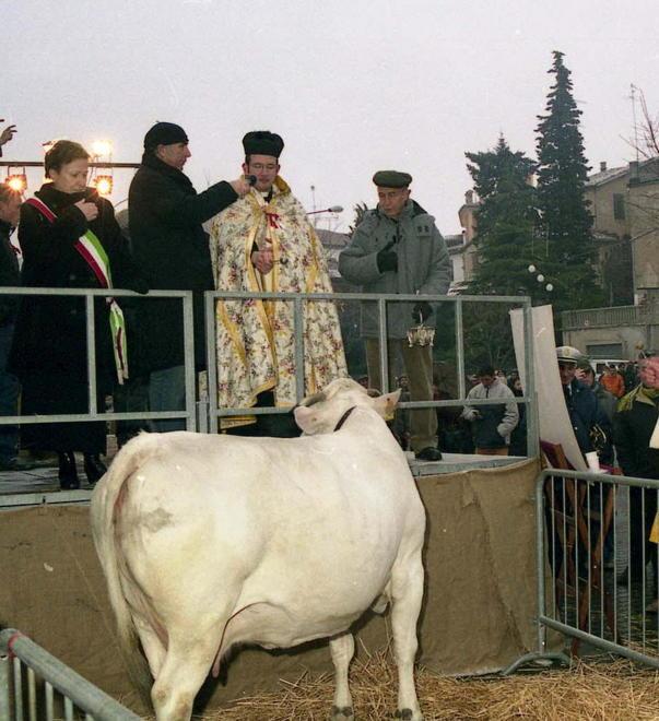 C’è la festa di Sant’Antonio