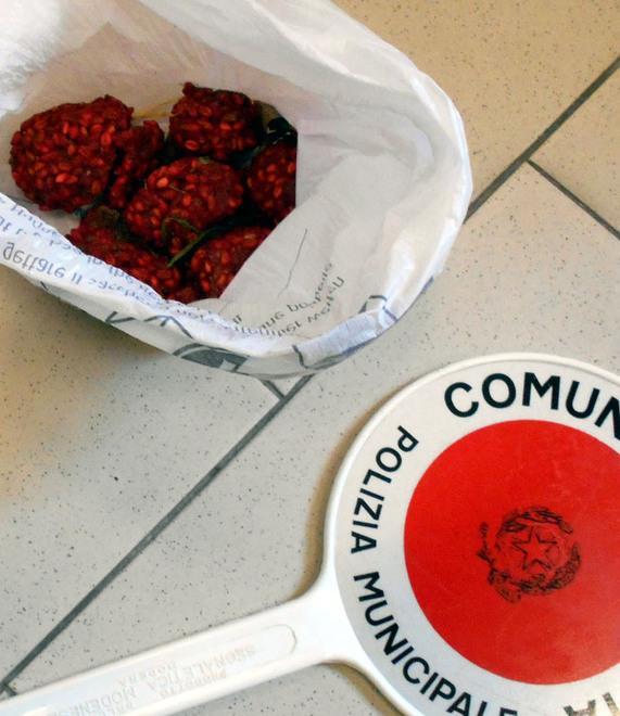 Strane polpette nell’area per i cani 