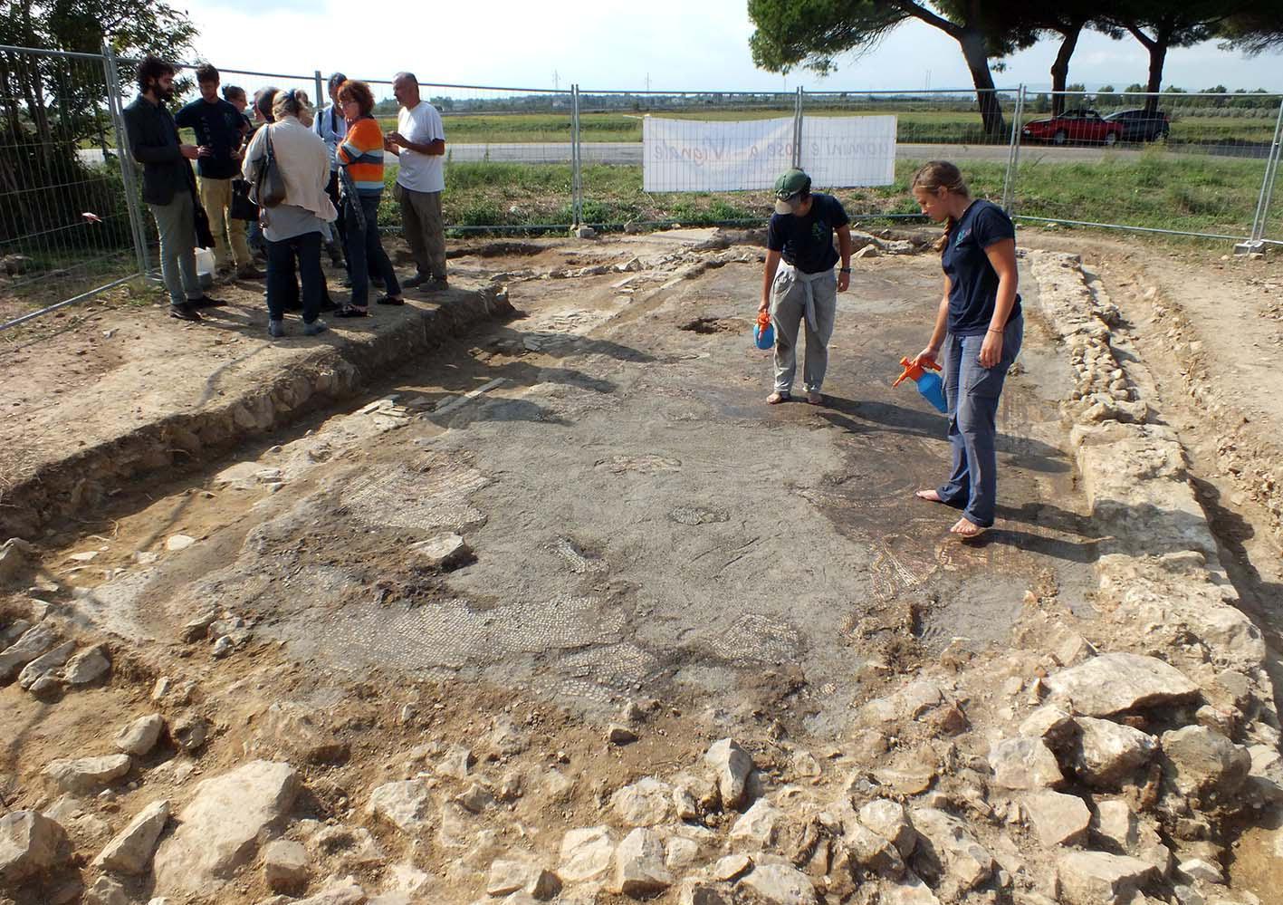 Il mosaico ritrovato a Vignale (foto Barlettani)