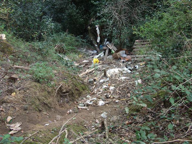 Una discarica abusiva nel bosco