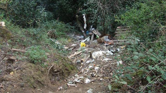 Una discarica abusiva nel bosco