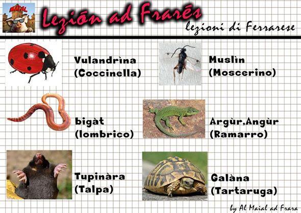 Lavagna Maial