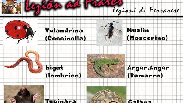 Lavagna Maial