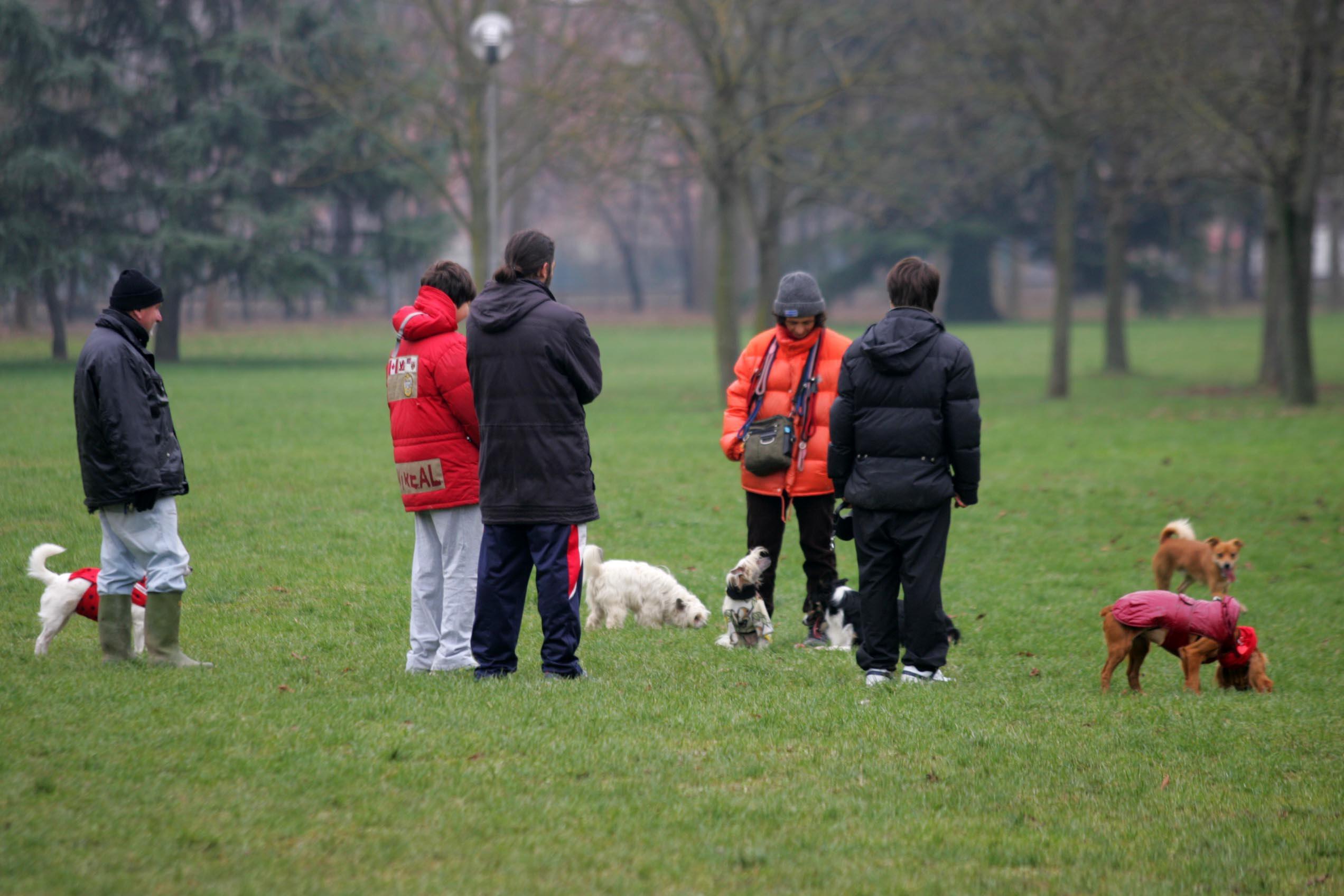 Polpette velenose al parco, almeno due cani morti