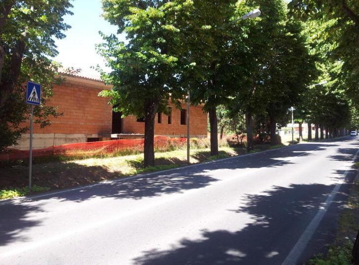 Traffico rivoluzionato per potare gli alberi 