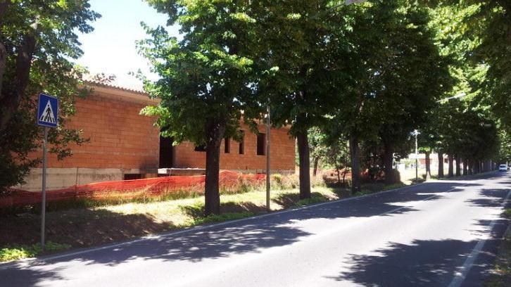 Traffico rivoluzionato per potare gli alberi