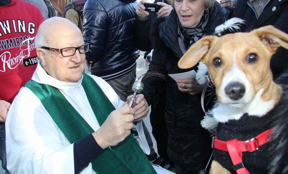 Benedizione degli animali a Capezzana