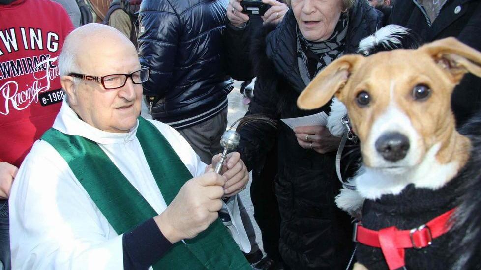 Benedizione degli animali a Capezzana