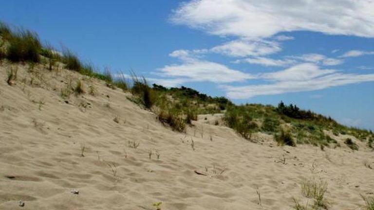Il Wwf vuole la spiaggia libera