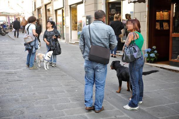 Cani portati a passeggio (foto archivio)