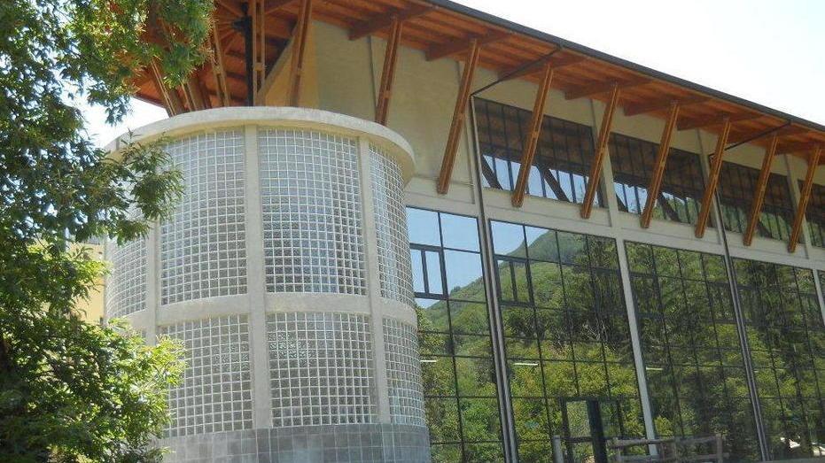 Coni e associazioni per rilanciare la piscina