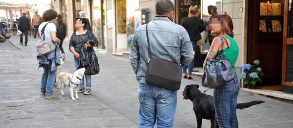 Regole per la difesa degli animali 