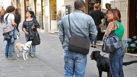 Regole per la difesa degli animali