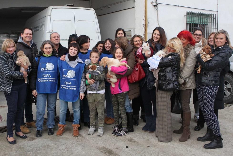 Una famiglia per i cuccioli salvati dalla Stradale in A1