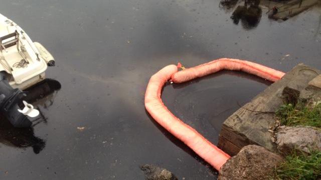 Il mare di olio nero che ha invaso di nuovo i fossi in via de Pazzi (Salvini Pentafoto)