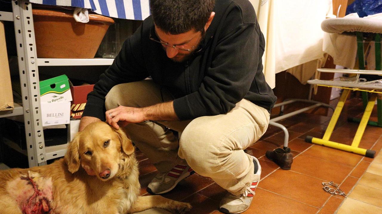 Il cane azzannato a Fucecchio