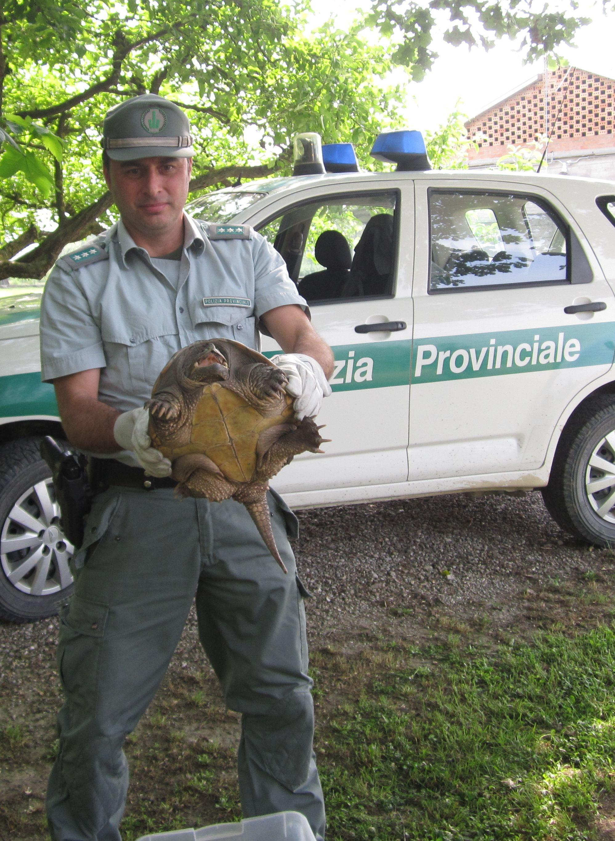 Il piccolo zoo salvato dalla polizia provinciale
