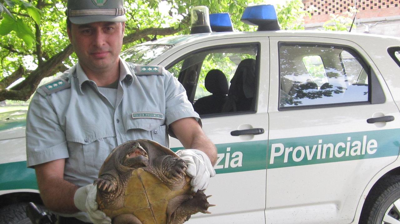 Il piccolo zoo salvato dalla polizia provinciale