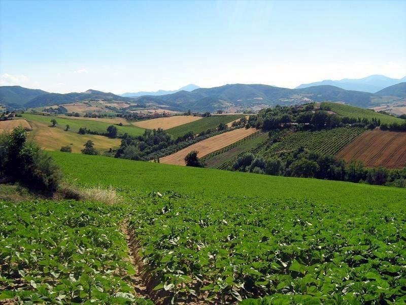 Guerra all’Imu sui terreni agricoli montani 