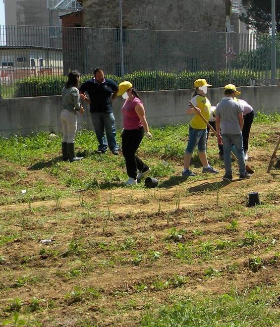Un orto pubblico nel campo incolto 