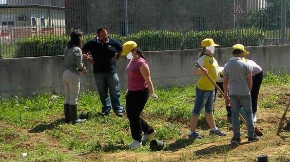 Un orto pubblico nel campo incolto