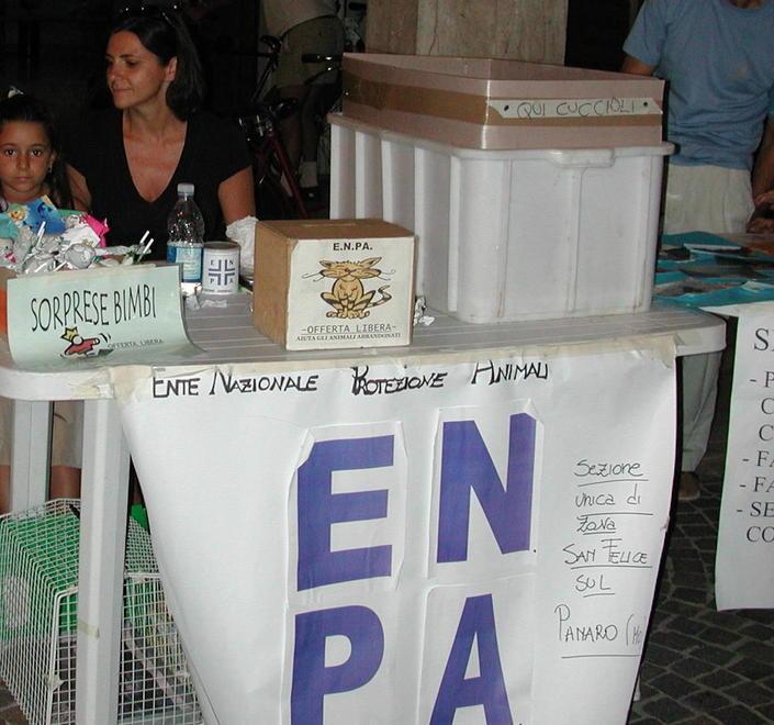 Vende fauna protetta: maxi multa 