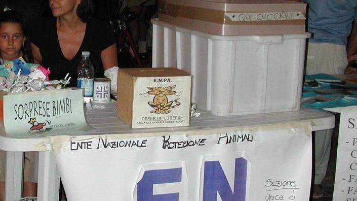 Vende fauna protetta: maxi multa