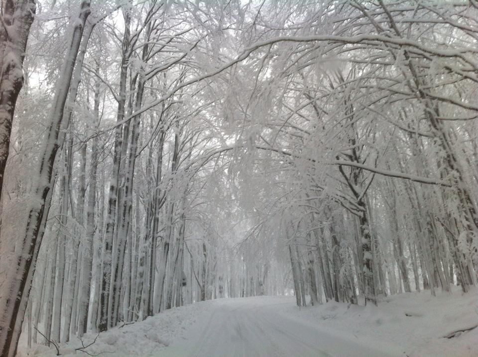 Amiata imbiancata dopo la nevicata della notte tra il 21 e il 22 gennaio