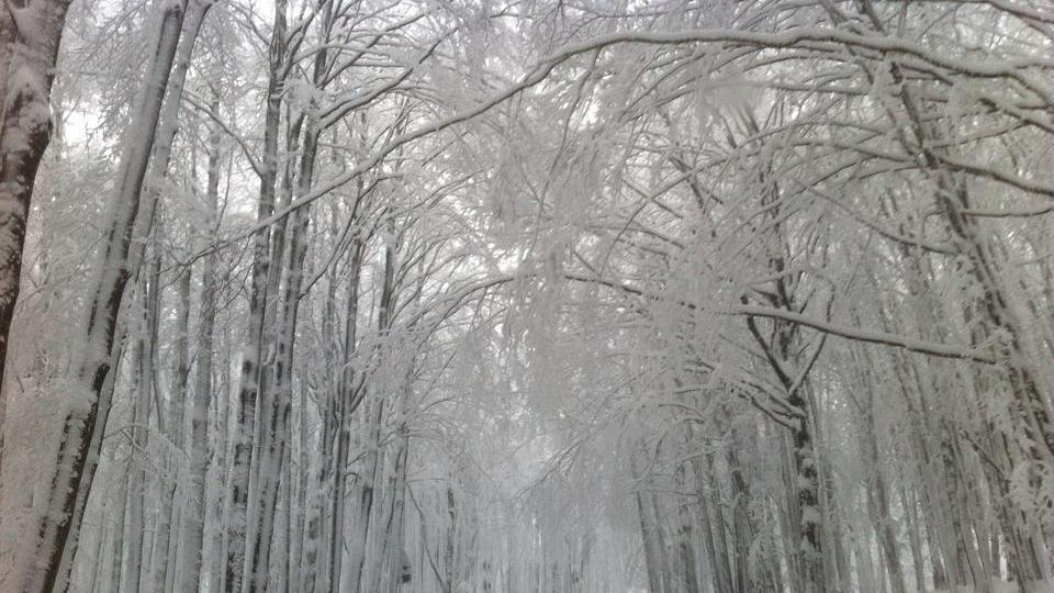 Amiata imbiancata dopo la nevicata della notte tra il 21 e il 22 gennaio