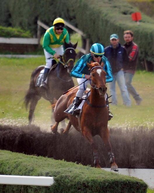 A febbraio si torna a cavallo con le gare al Casalone e ai Pini
