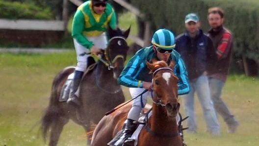 A febbraio si torna a cavallo con le gare al Casalone e ai Pini