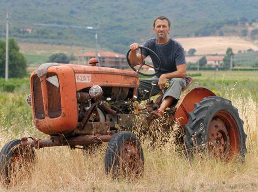 Imu sui terreni agricoli, per il Tar si paga il 26 