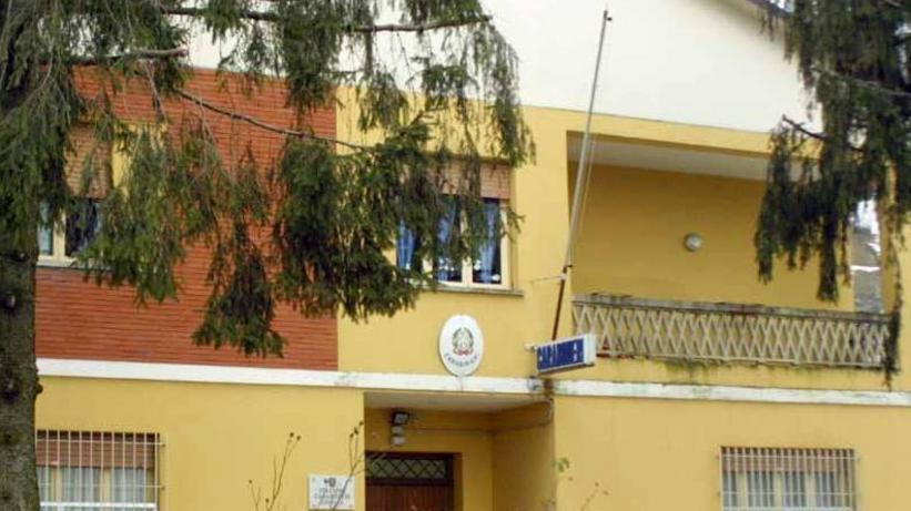 Mettono collare elettrico al cane per non farlo abbaiare