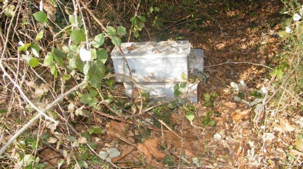Rifiuti tossici anche all’interno del Boscone 
