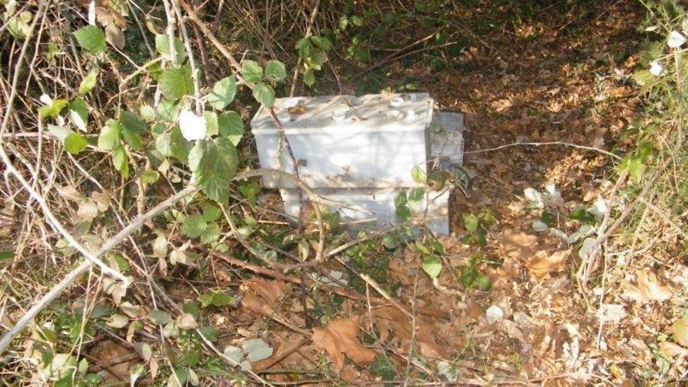 Rifiuti tossici anche all’interno del Boscone