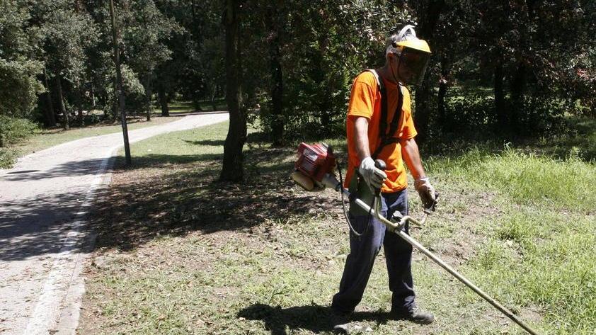 I cittadini si prendono cura di 100 chilometri di strade