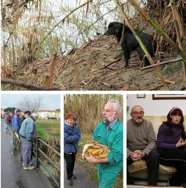 Cane gettato dal ponte sull’Elsa salvato dai vigili del fuoco 