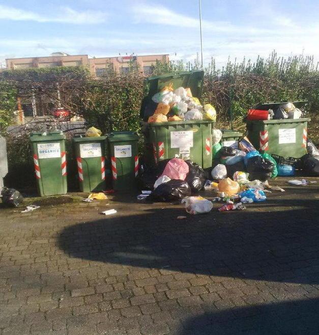 Rifiuti abbandonati vicino alla Conad