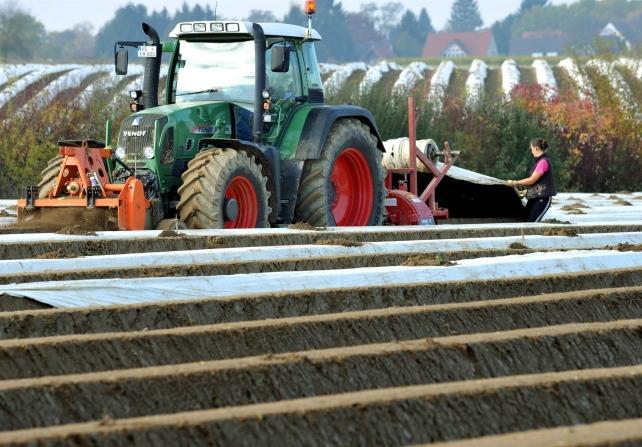 Imu agricola, fissati nuovi criteri: in 153 comuni toscani scattano l'esenzioni (totali o parziali)