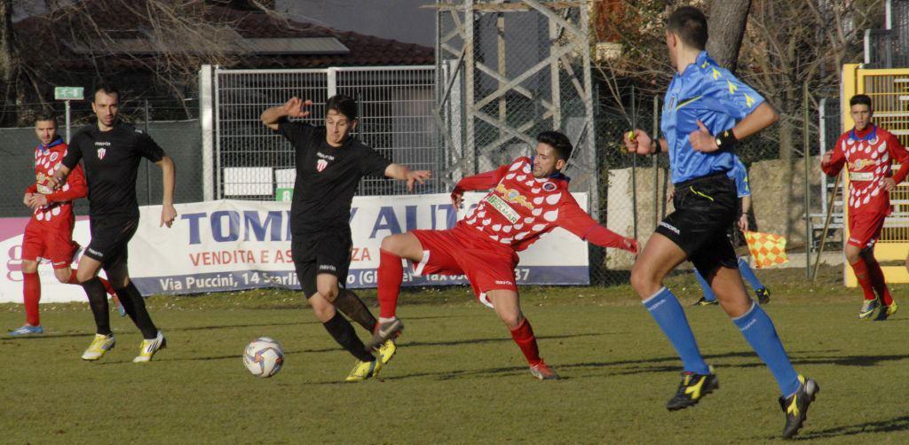 Un Gavorrano spuntato a Marsciano