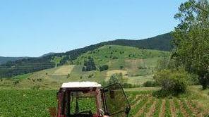 Imu agricola, salvi i Comuni montani